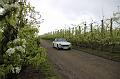 MG Bloesemrit op 24-4-2016 org. Jos&Marie-lou  (63)